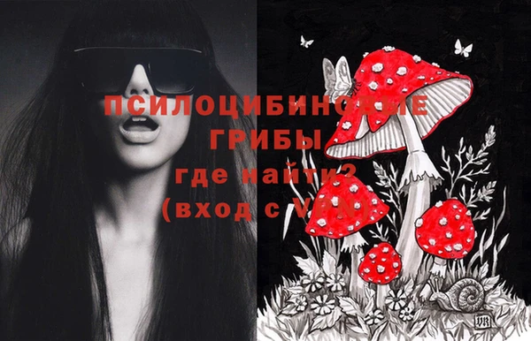 скорость Белокуриха
