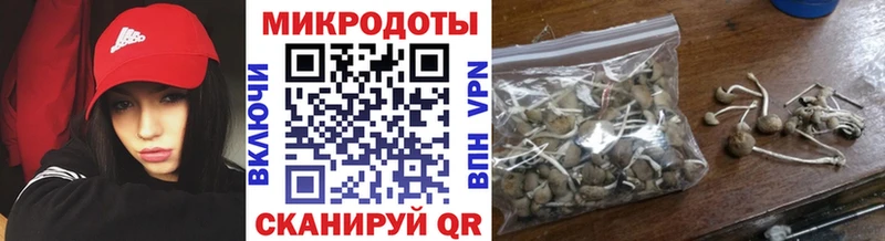 hydra маркетплейс  Гаврилов-Ям  Псилоцибиновые грибы Cubensis 